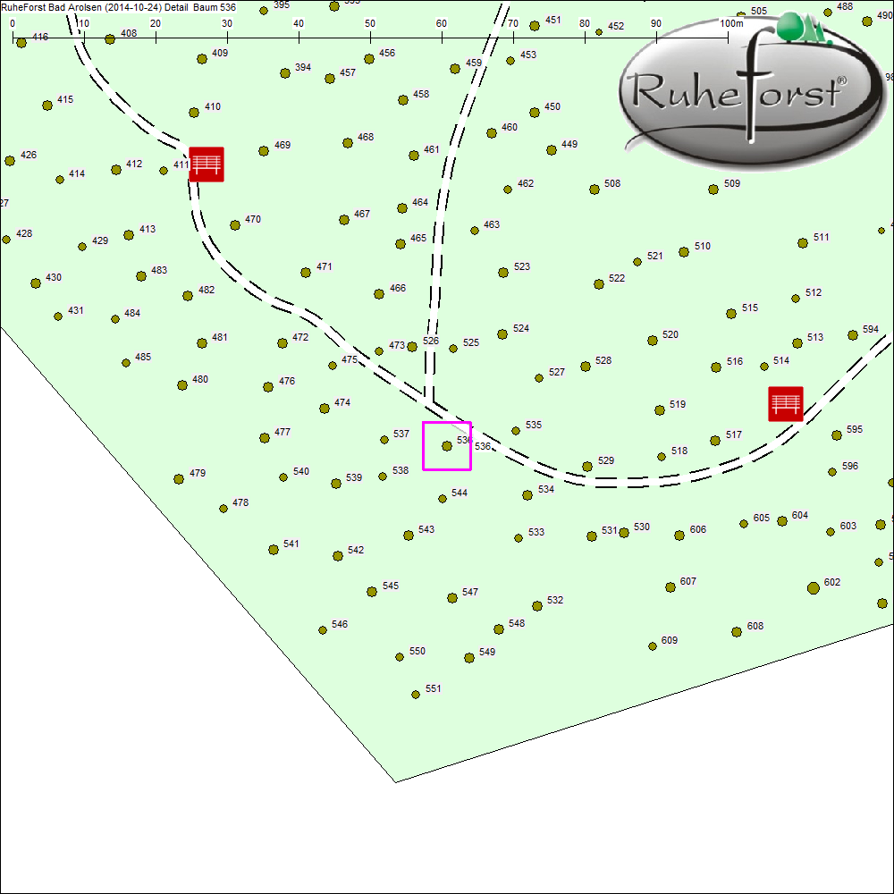 Detailkarte zu Baum 536