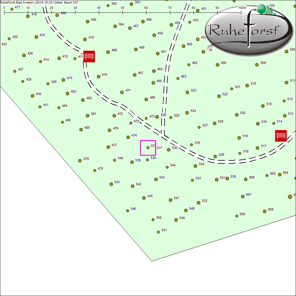 Detailkarte zu Baum 537