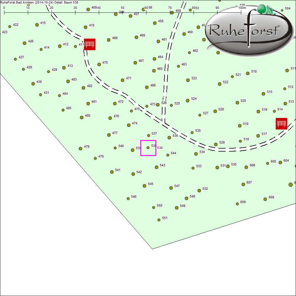 Detailkarte zu Baum 538