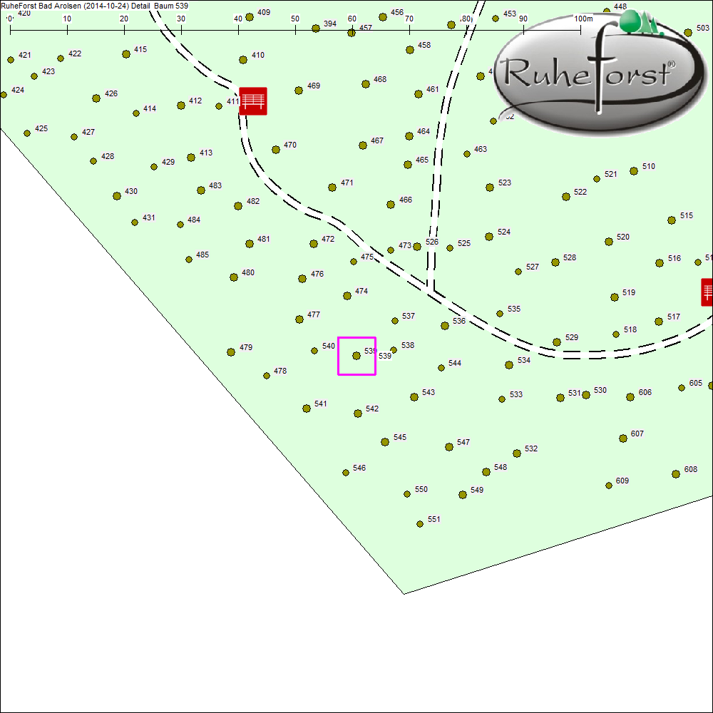 Detailkarte zu Baum 539