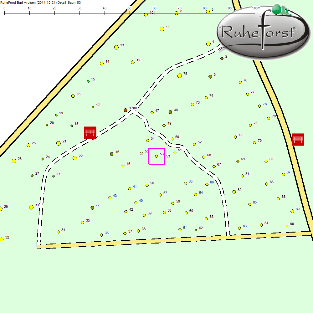 Detailkarte zu Baum 53