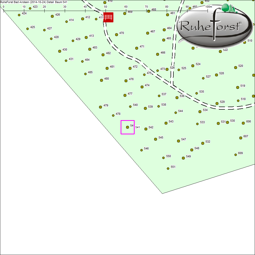 Detailkarte zu Baum 541