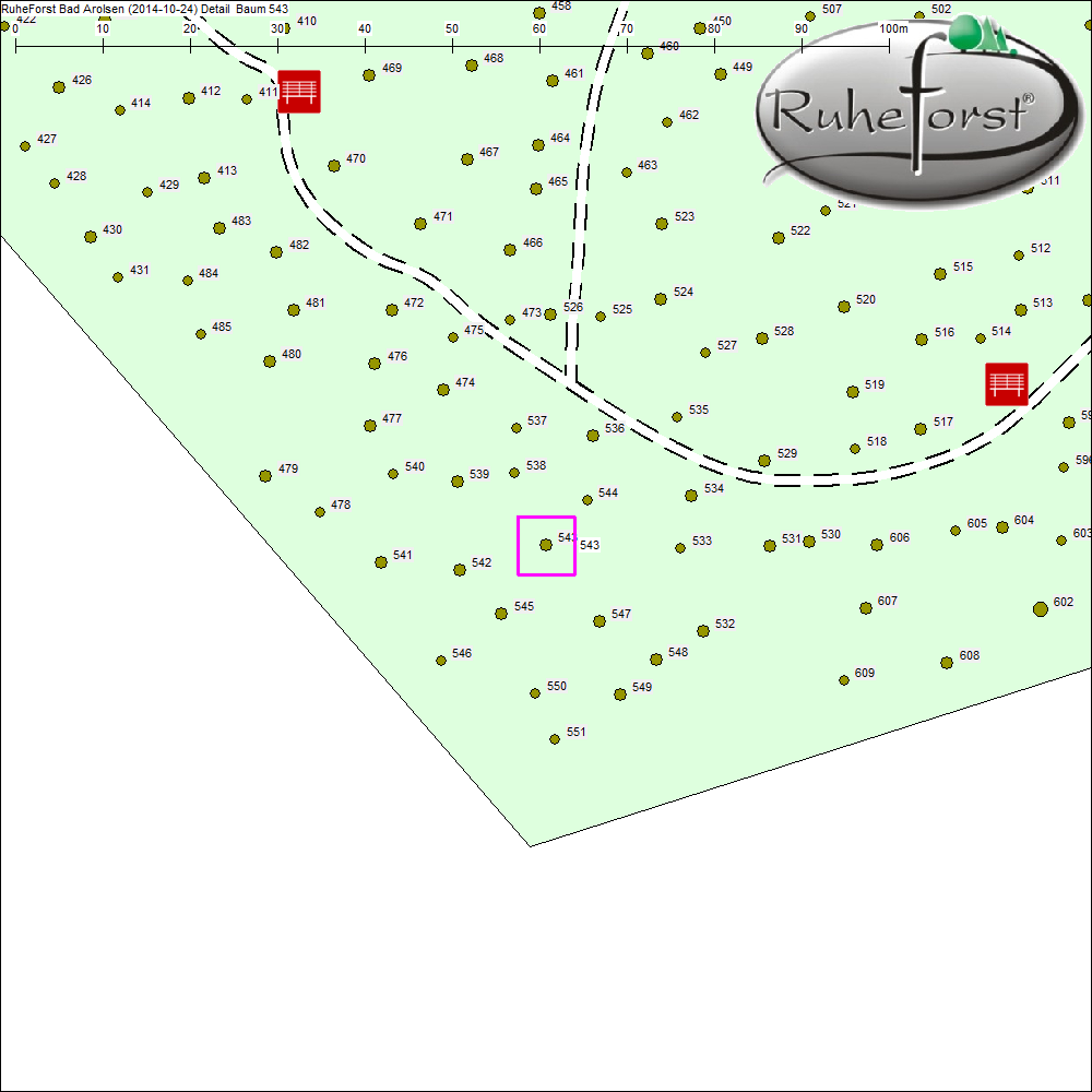 Detailkarte zu Baum 543