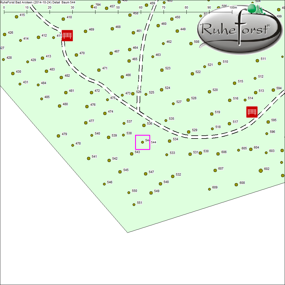 Detailkarte zu Baum 544
