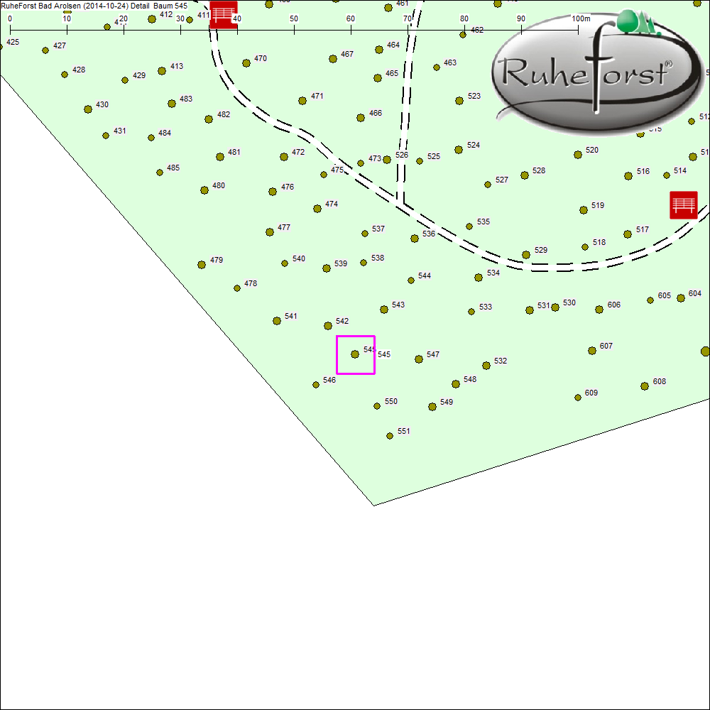 Detailkarte zu Baum 545
