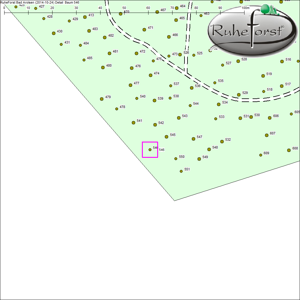 Detailkarte zu Baum 546