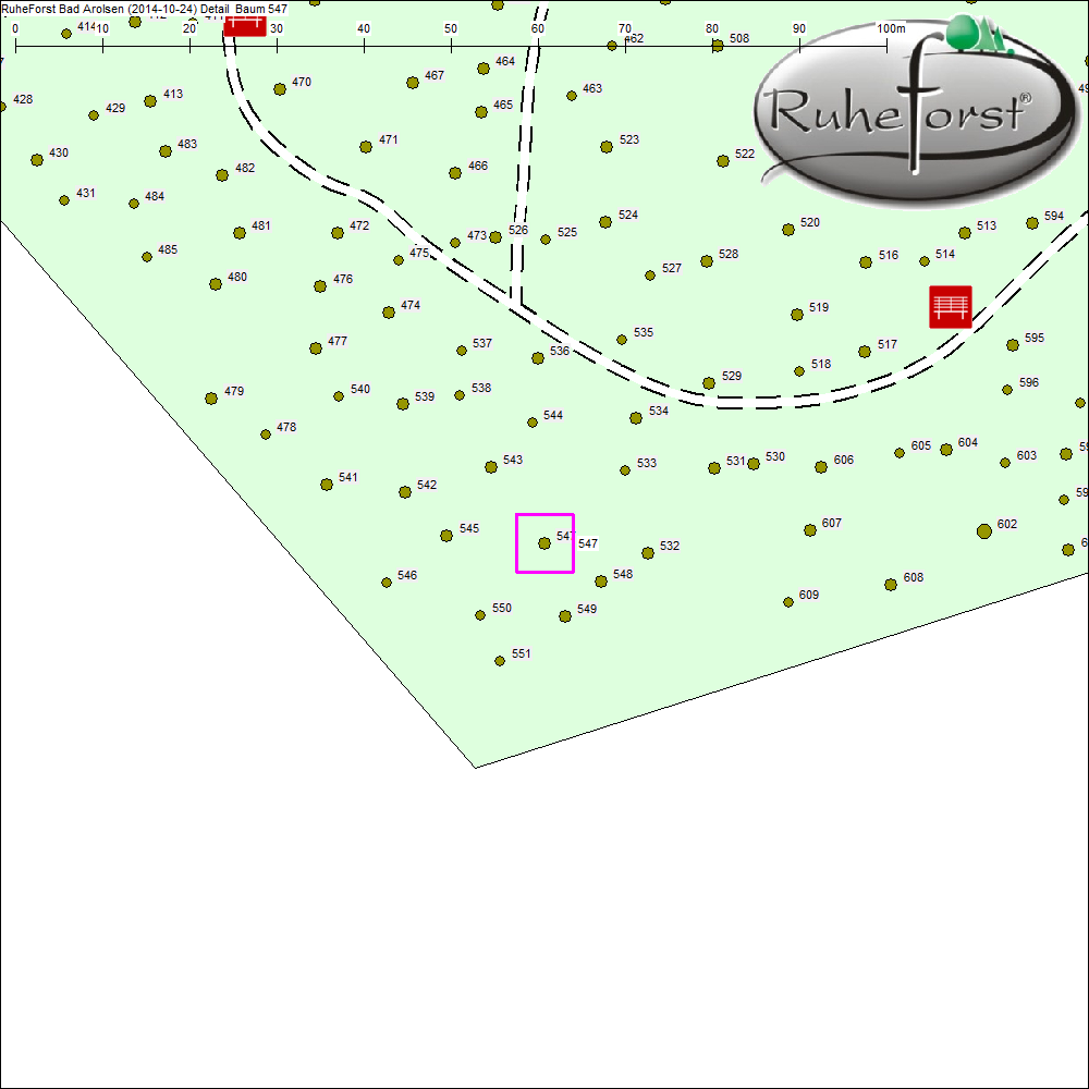 Detailkarte zu Baum 547