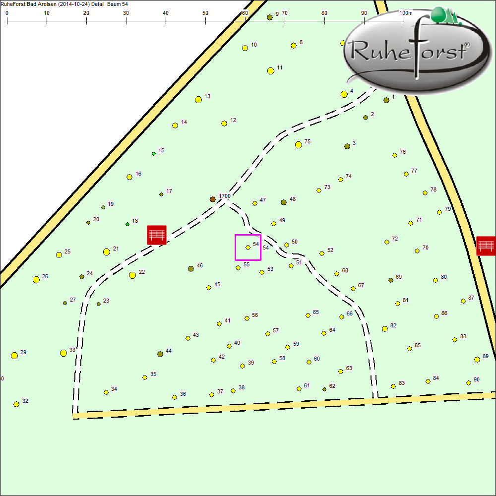 Detailkarte zu Baum 54