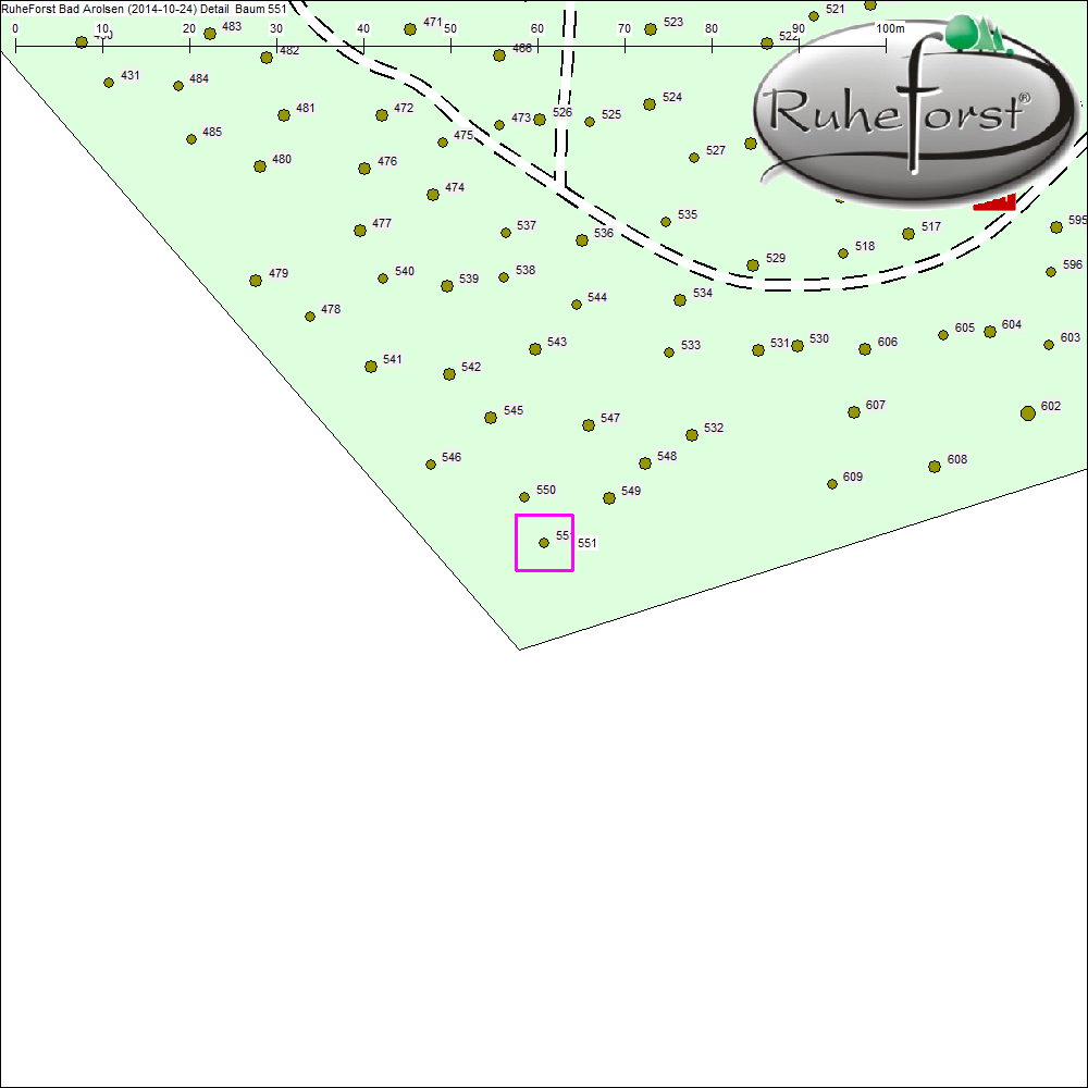 Detailkarte zu Baum 551