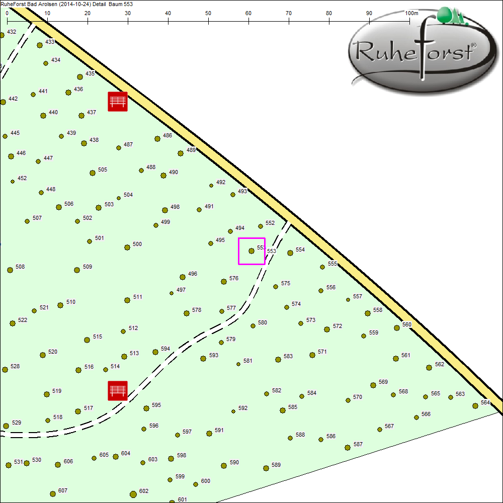 Detailkarte zu Baum 553