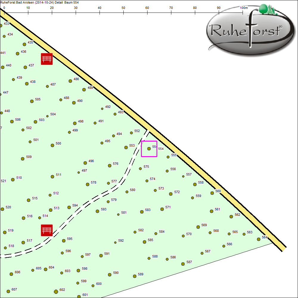 Detailkarte zu Baum 554