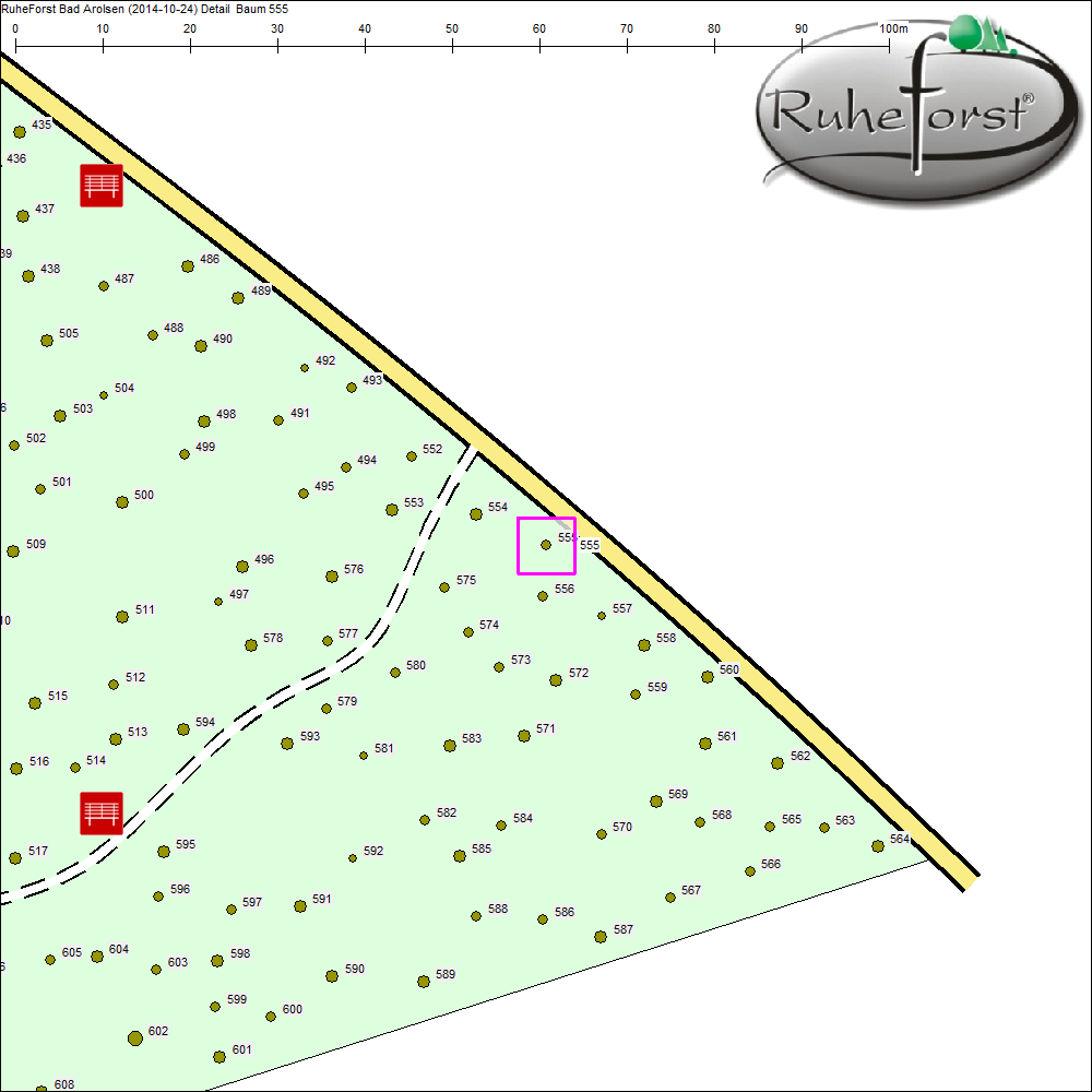 Detailkarte zu Baum 555