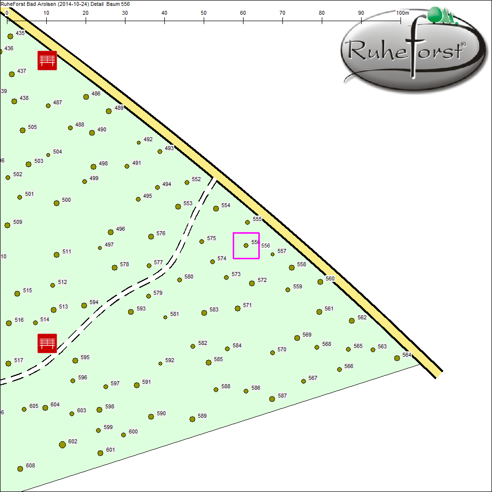 Detailkarte zu Baum 556