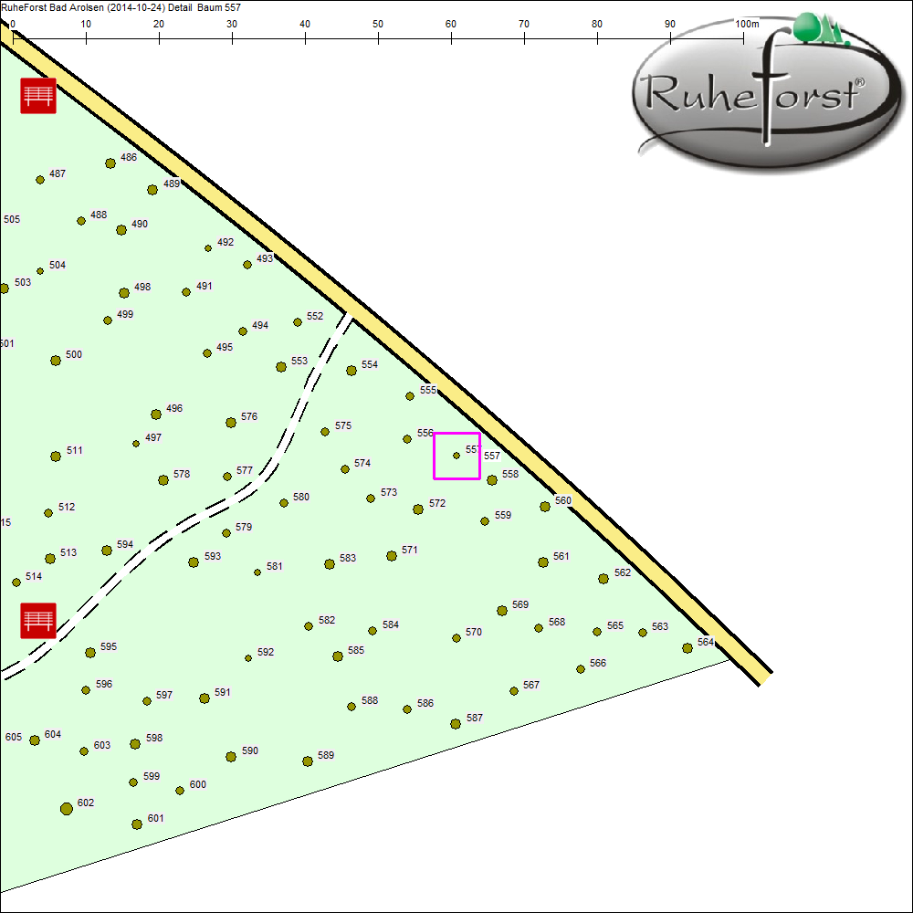 Detailkarte zu Baum 557