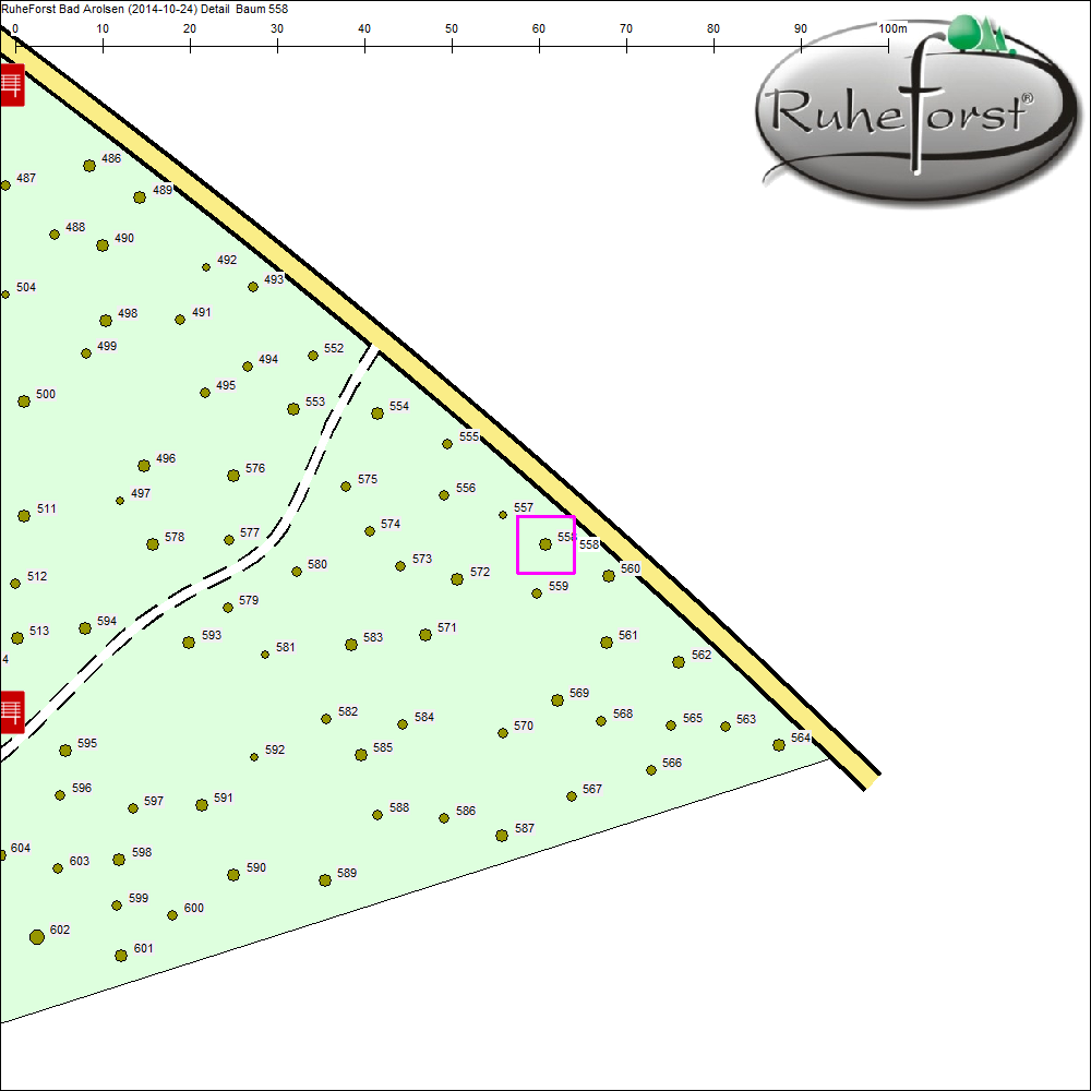 Detailkarte zu Baum 558