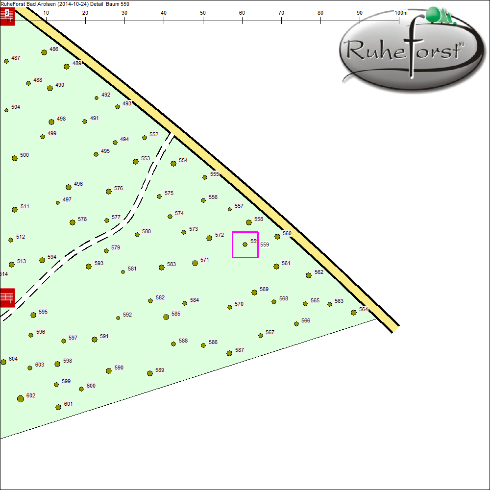 Detailkarte zu Baum 559
