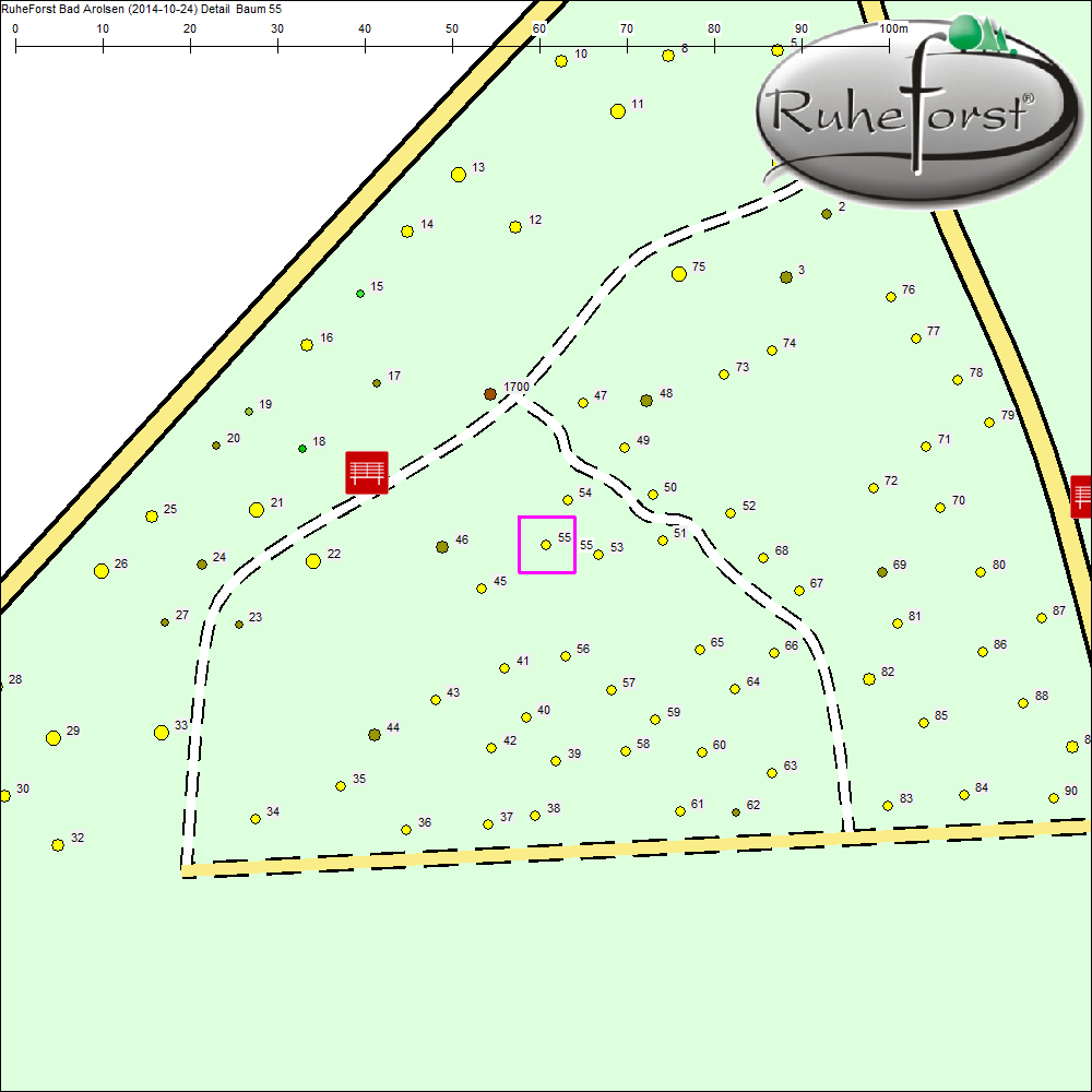 Detailkarte zu Baum 55