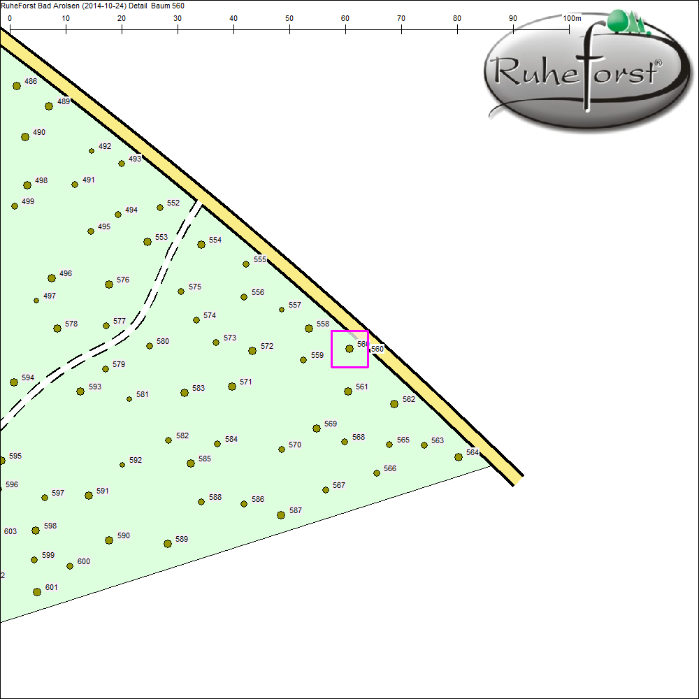 Detailkarte zu Baum 560
