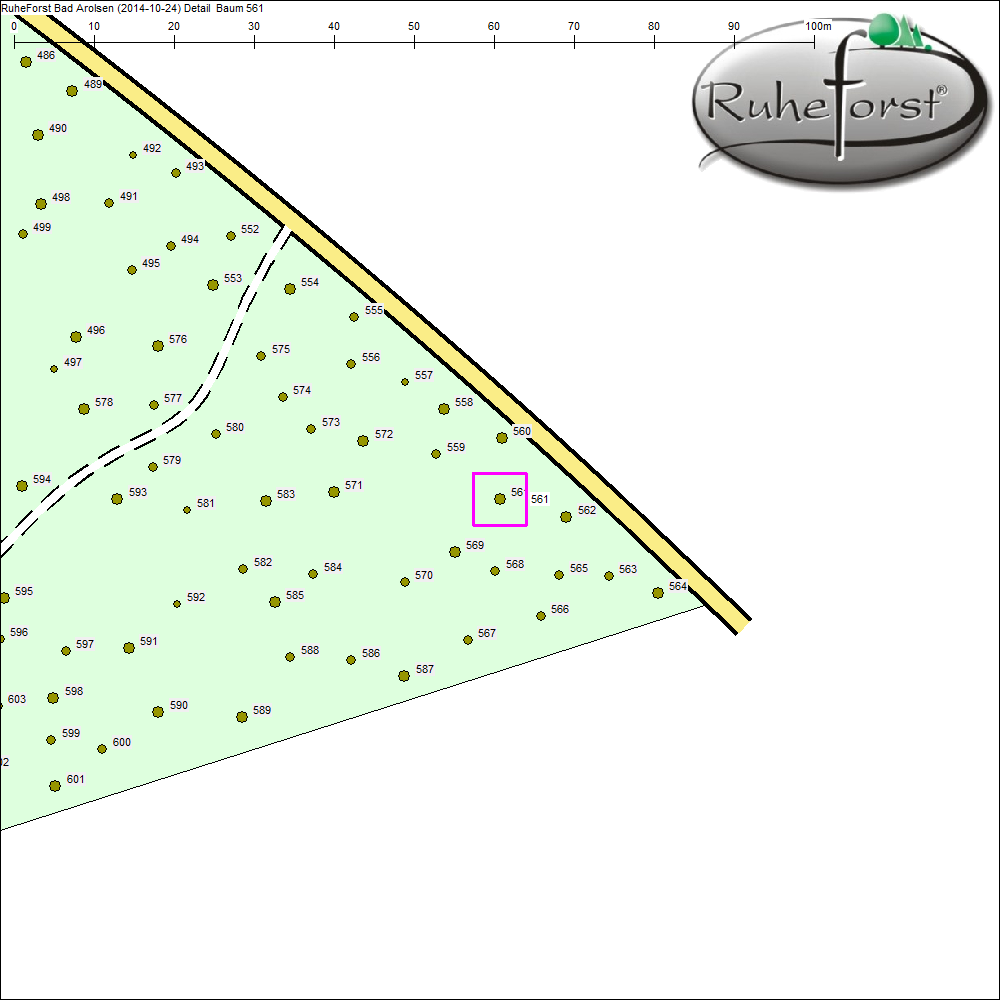 Detailkarte zu Baum 561