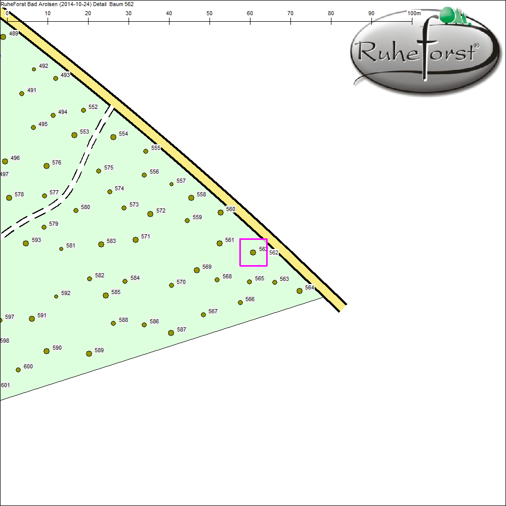 Detailkarte zu Baum 562