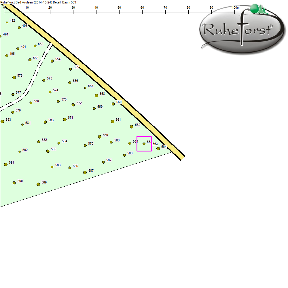 Detailkarte zu Baum 563