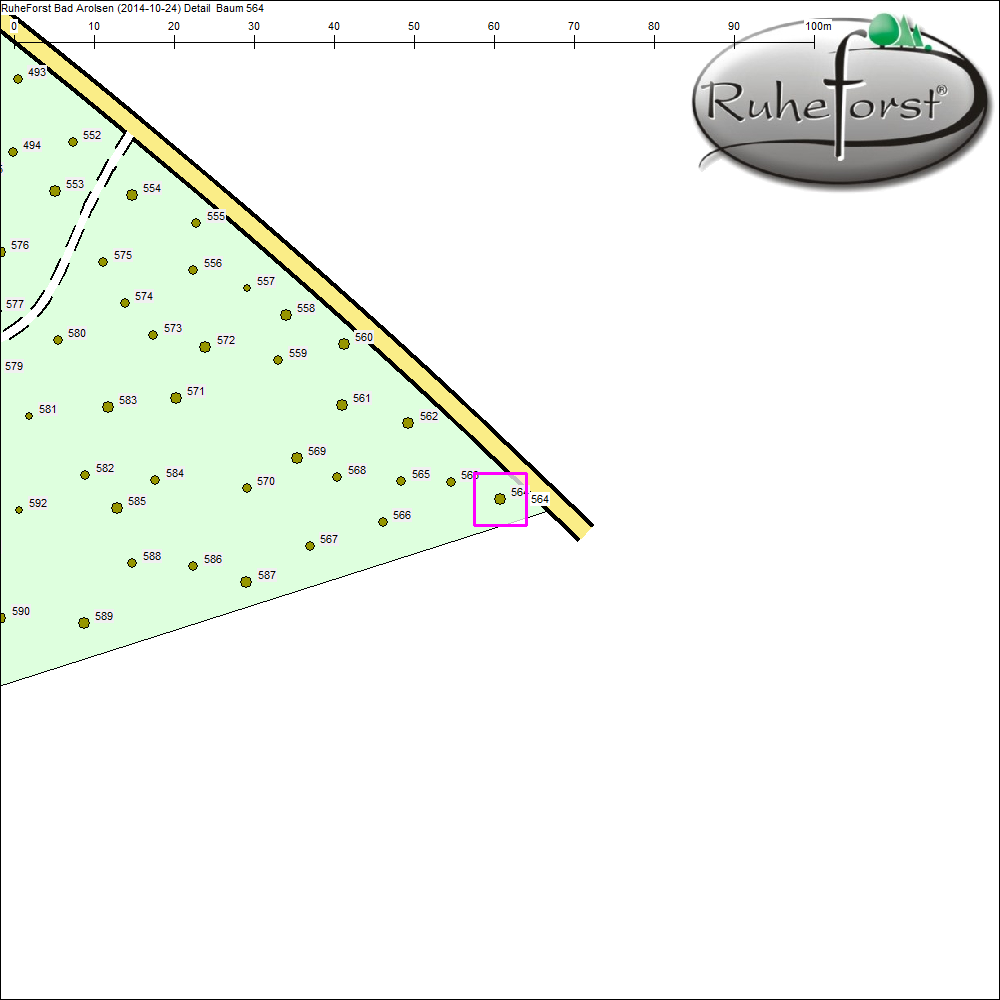 Detailkarte zu Baum 564