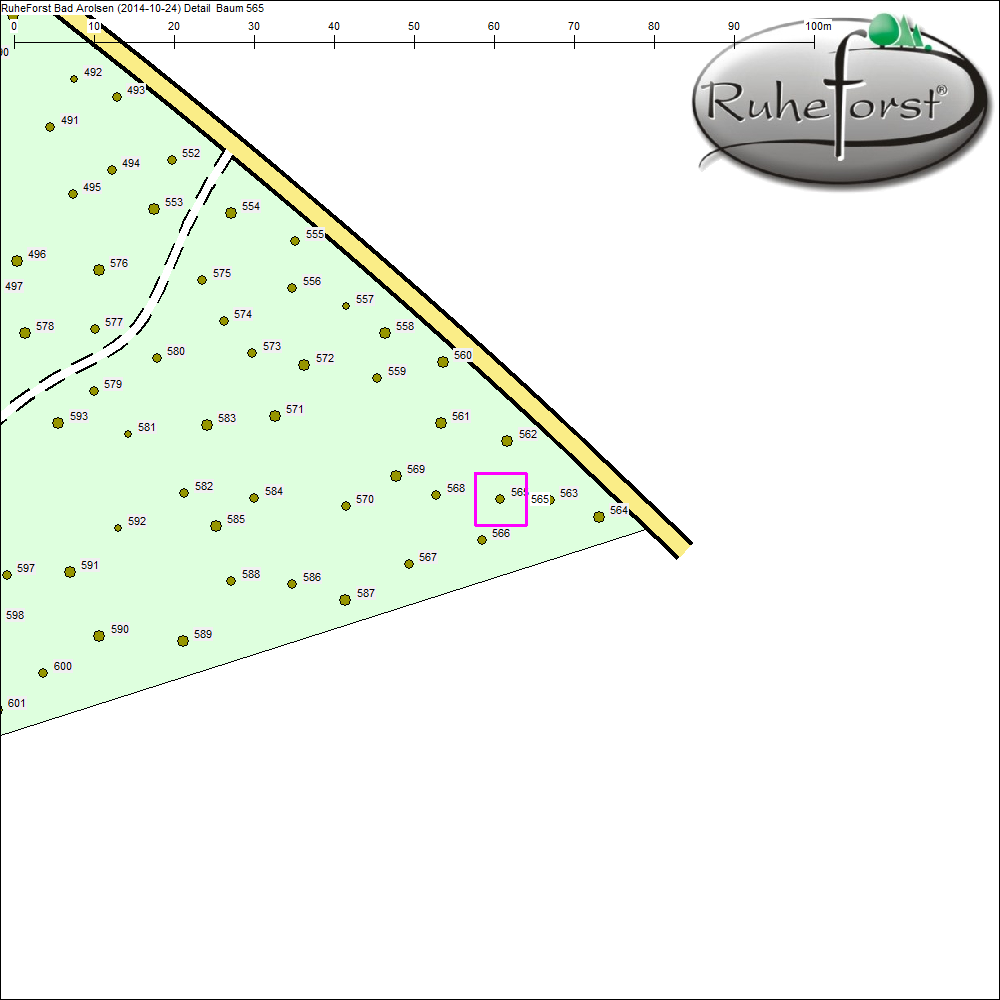 Detailkarte zu Baum 565