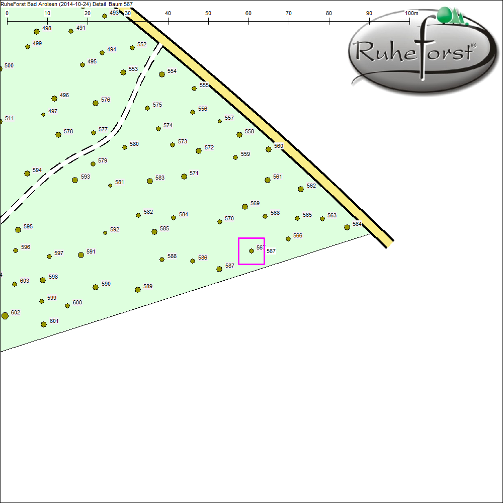 Detailkarte zu Baum 567