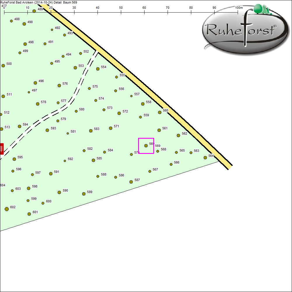Detailkarte zu Baum 569
