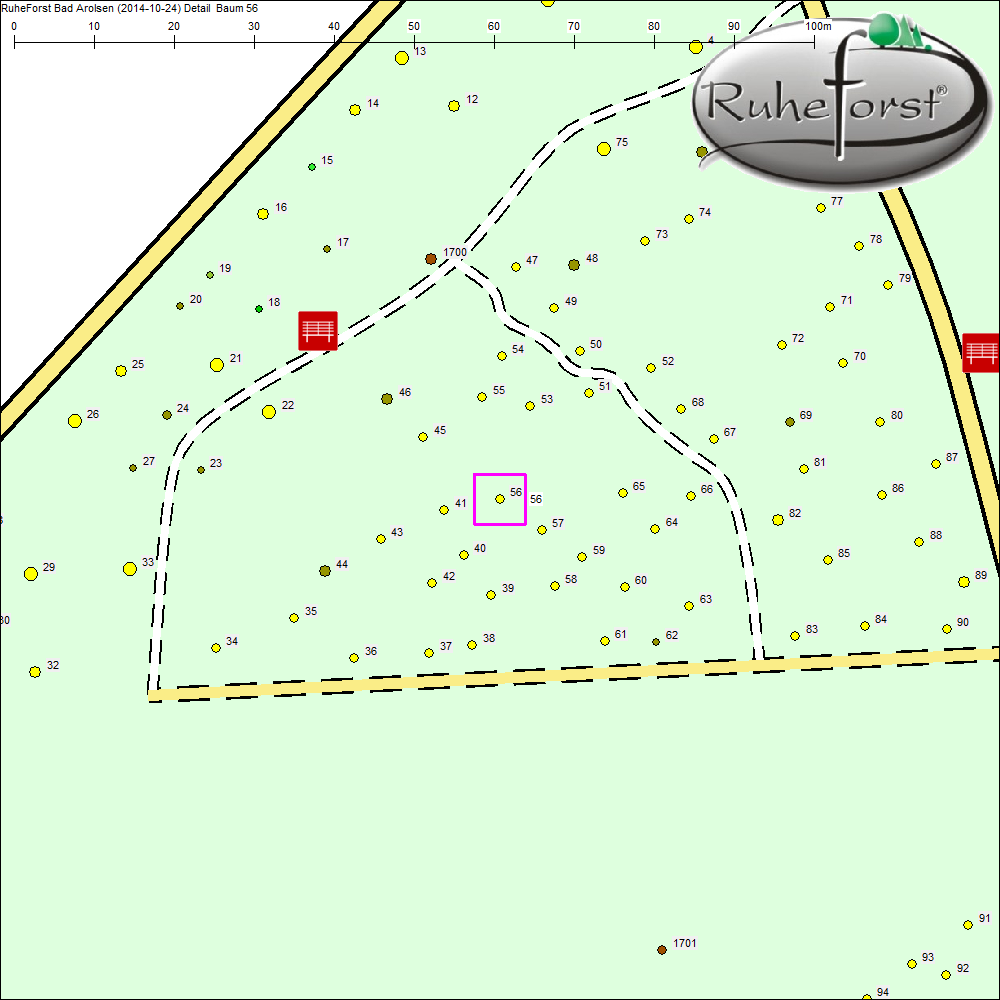 Detailkarte zu Baum 56