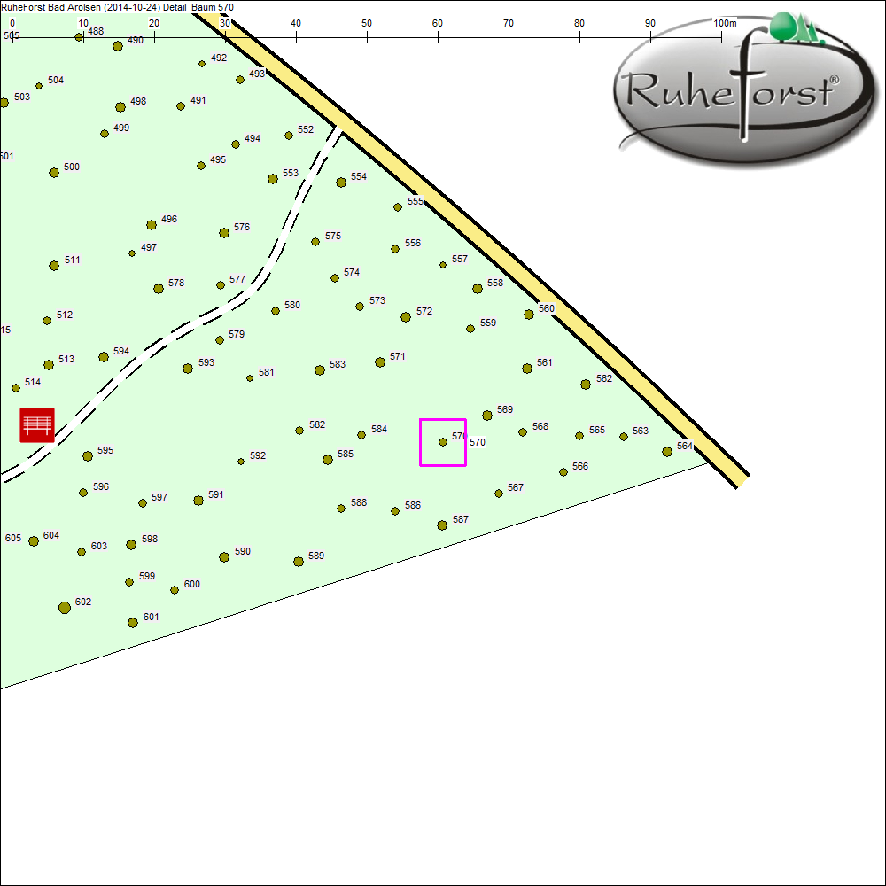 Detailkarte zu Baum 570