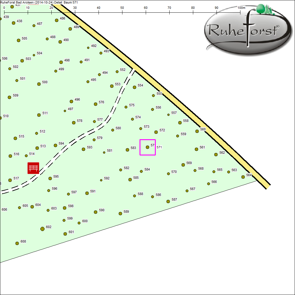 Detailkarte zu Baum 571
