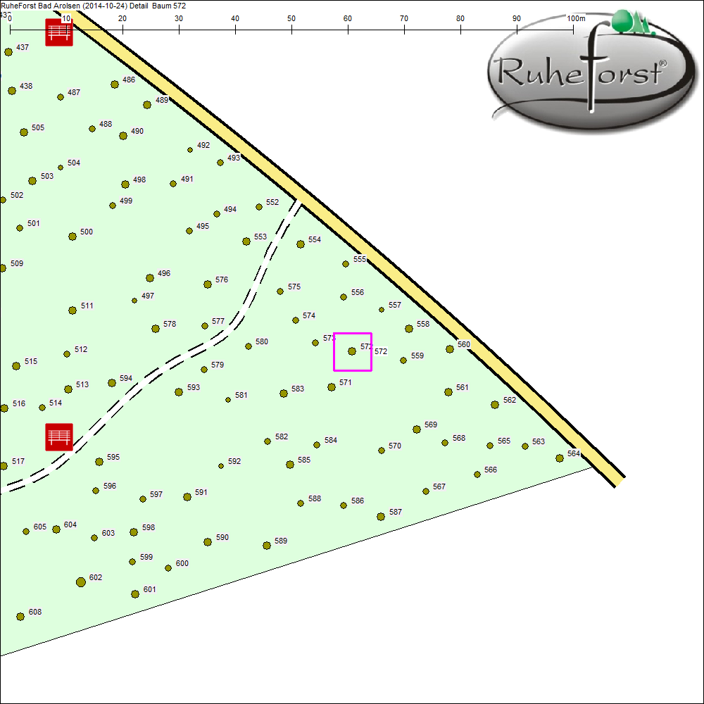 Detailkarte zu Baum 572