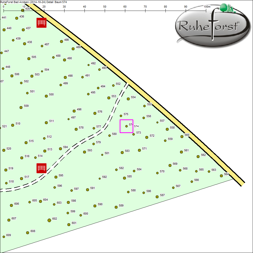 Detailkarte zu Baum 574