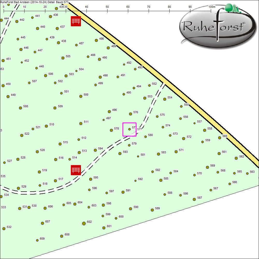 Detailkarte zu Baum 577
