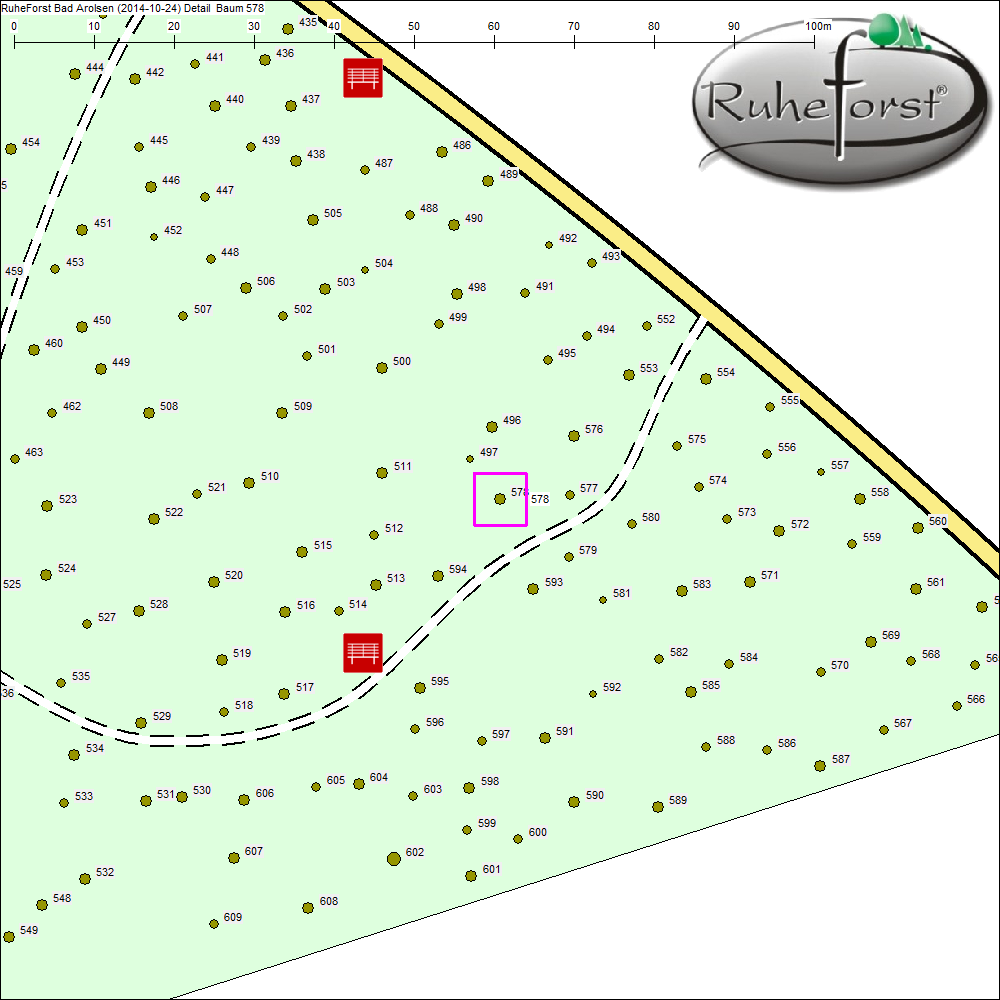 Detailkarte zu Baum 578