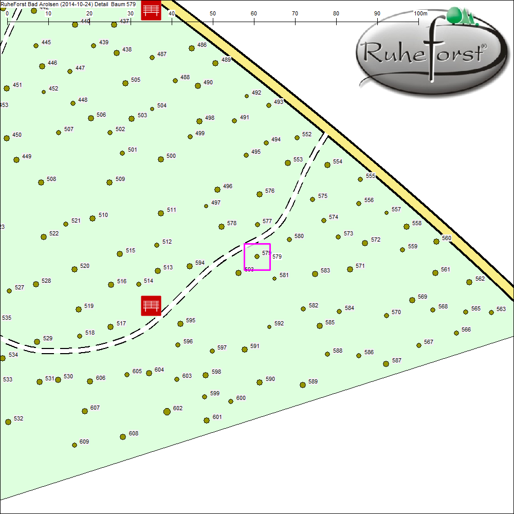 Detailkarte zu Baum 579