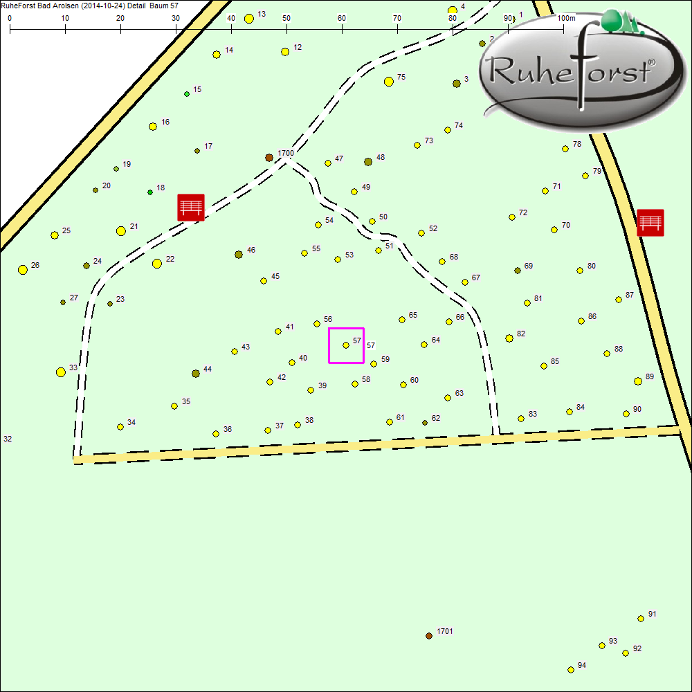 Detailkarte zu Baum 57