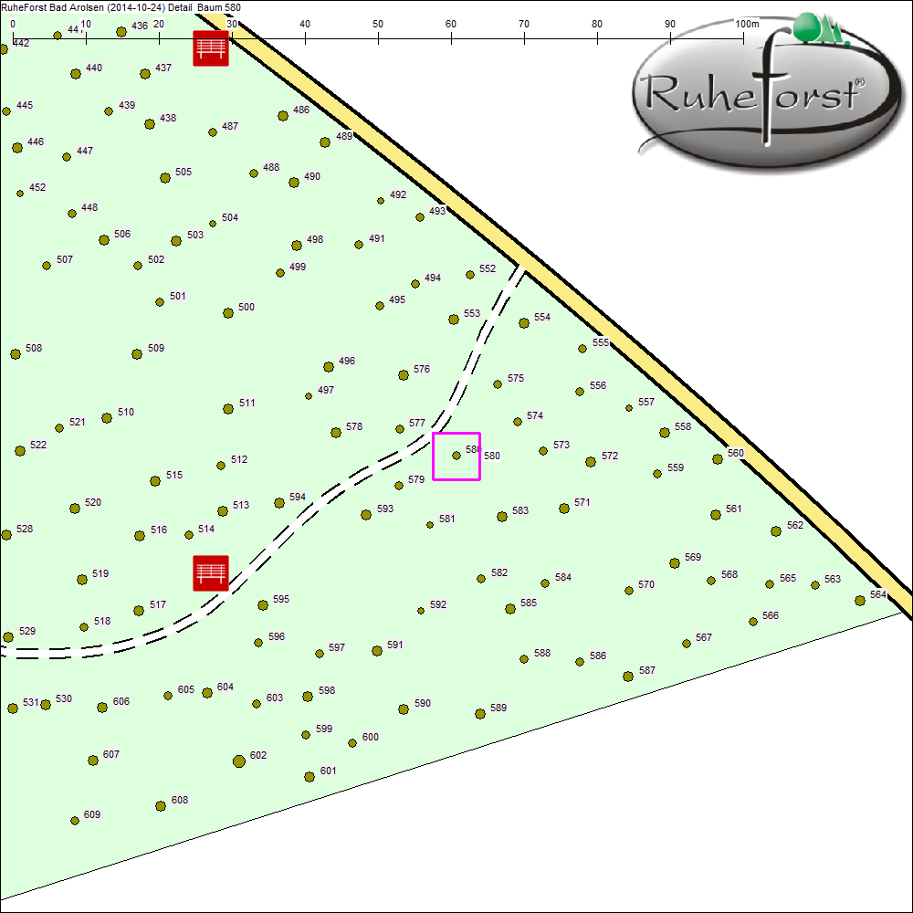 Detailkarte zu Baum 580