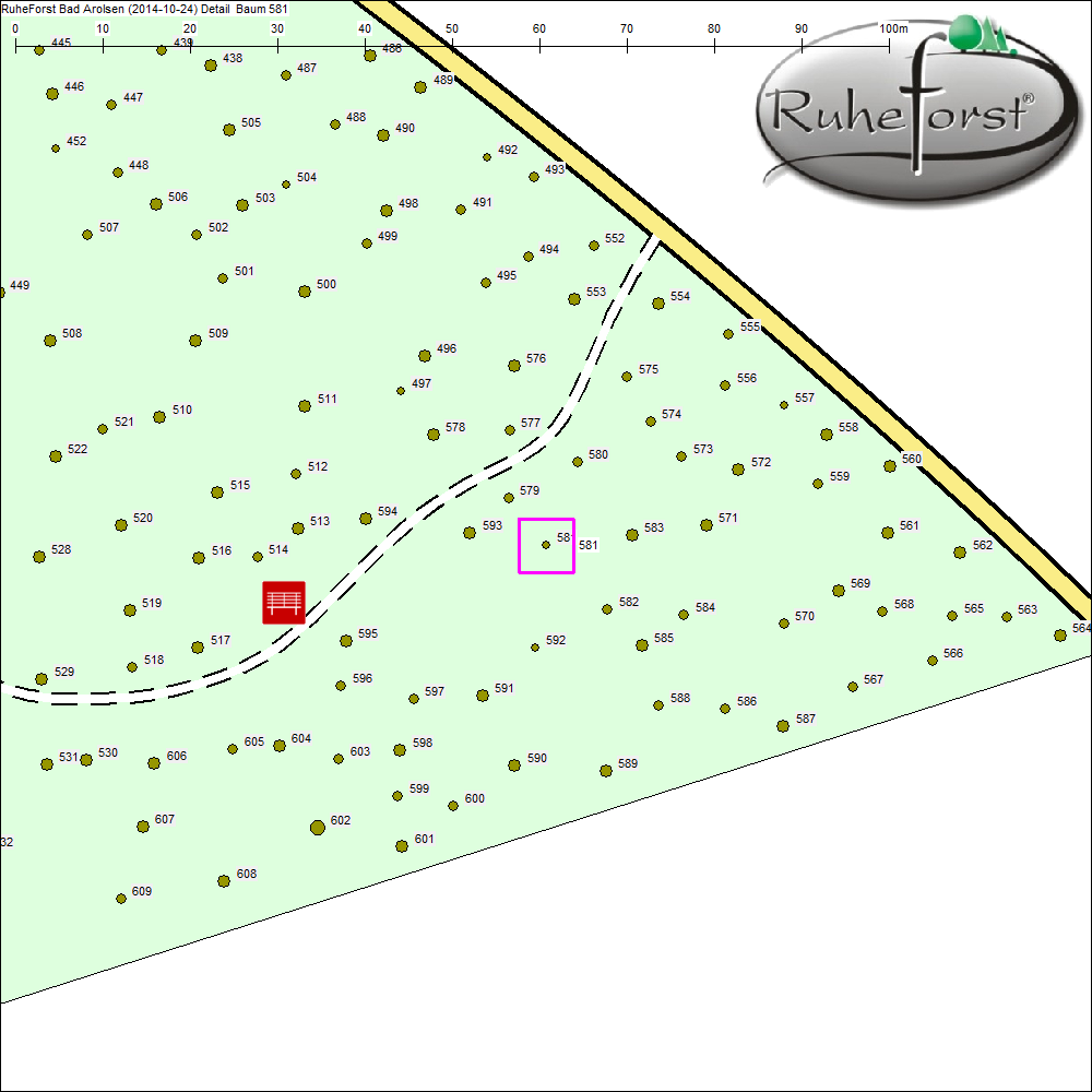 Detailkarte zu Baum 581