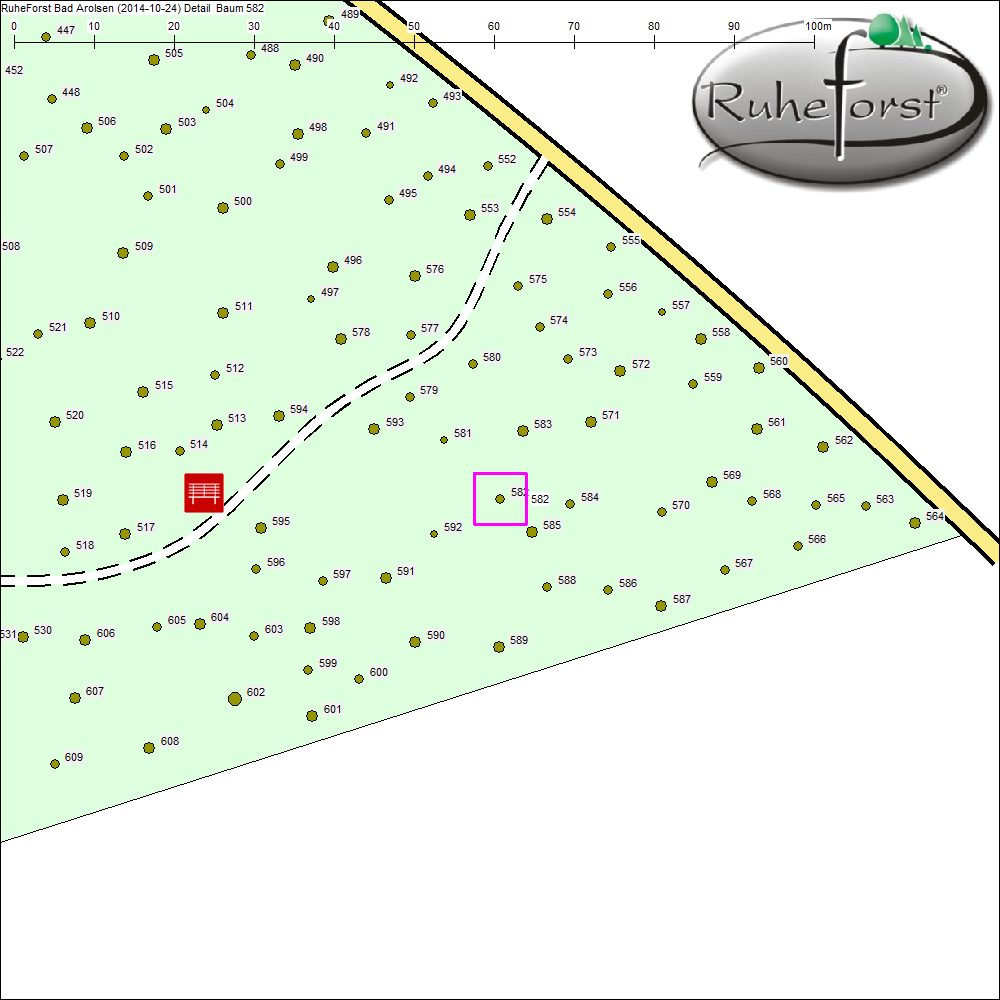 Detailkarte zu Baum 582