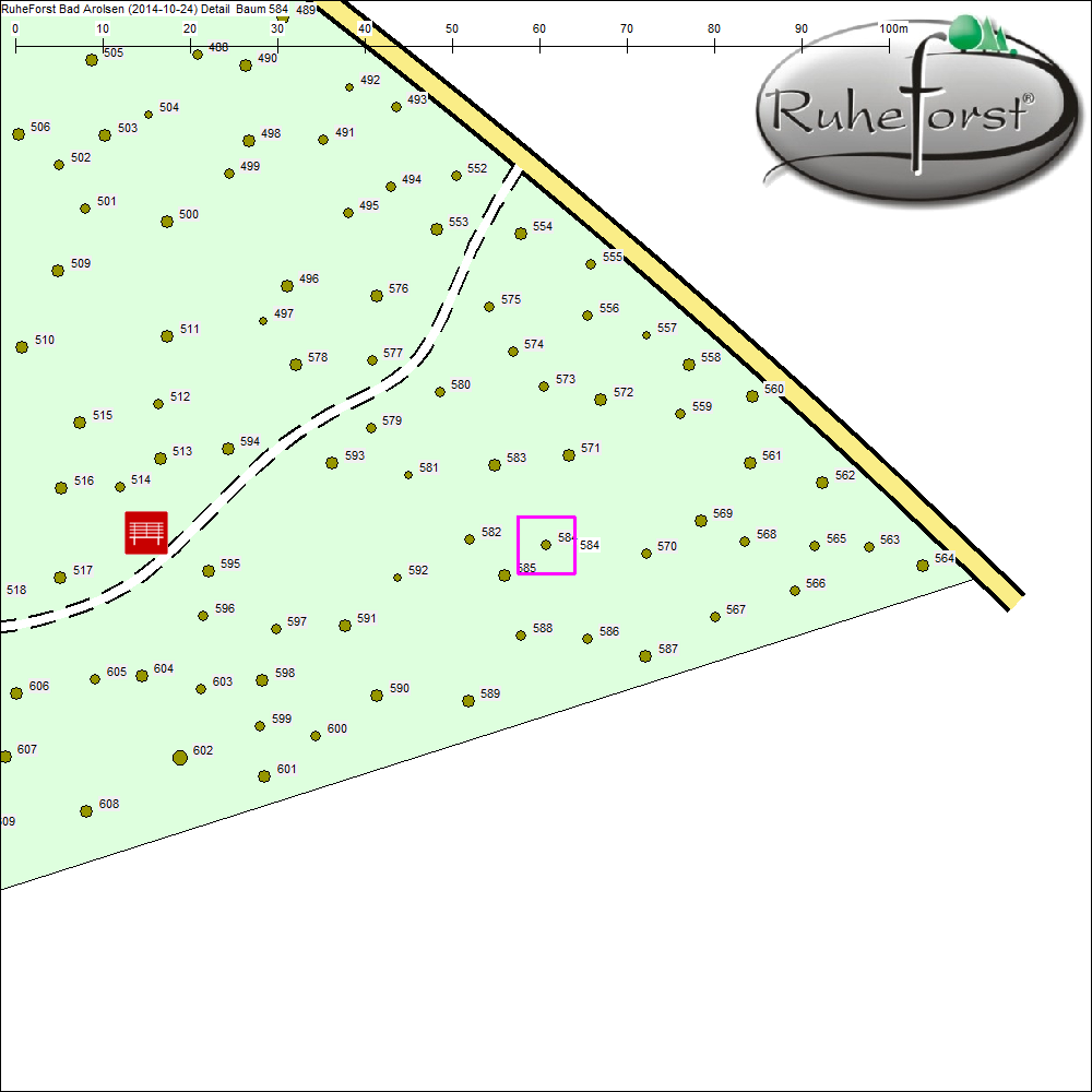 Detailkarte zu Baum 584