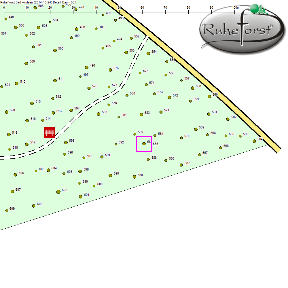 Detailkarte zu Baum 585
