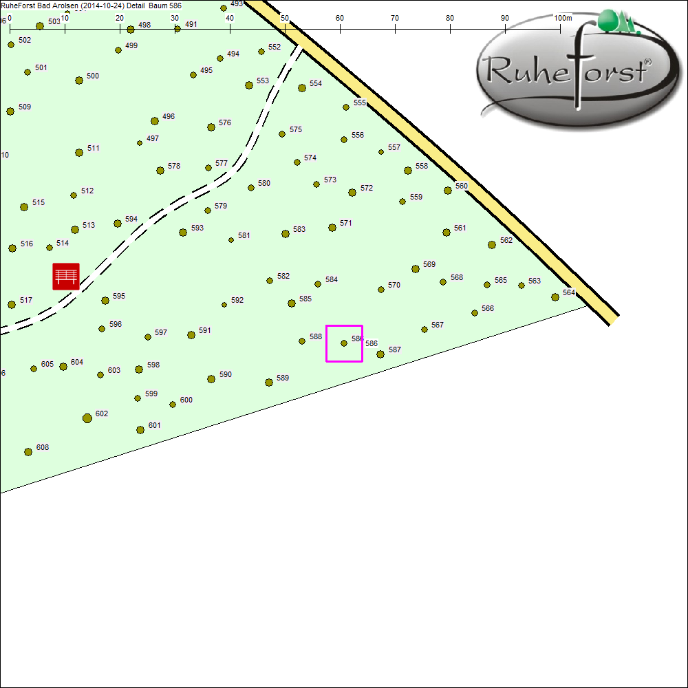 Detailkarte zu Baum 586