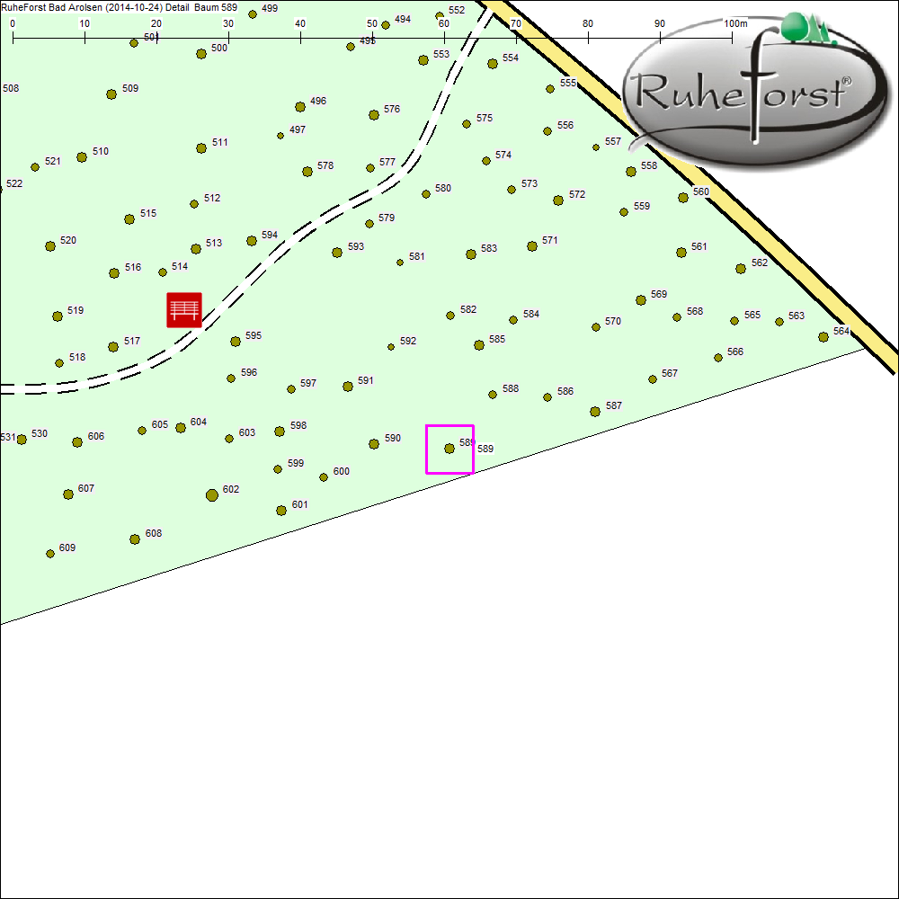 Detailkarte zu Baum 589