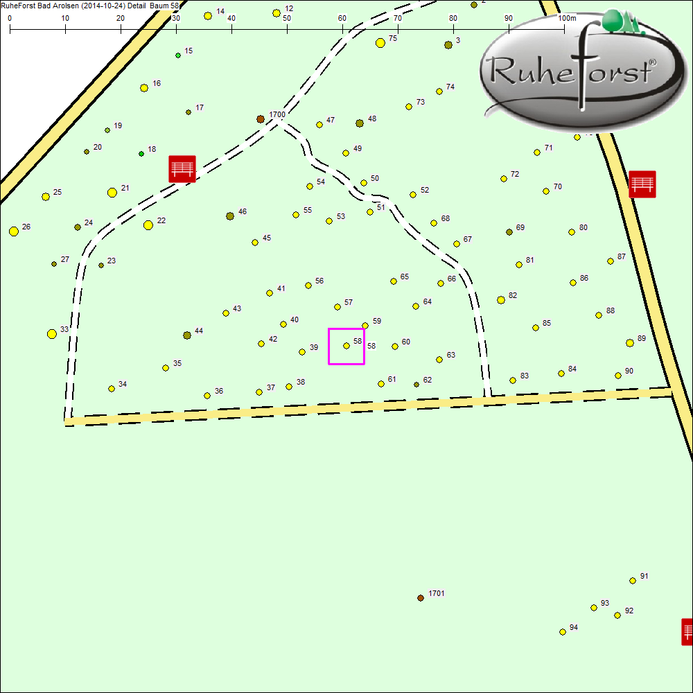 Detailkarte zu Baum 58