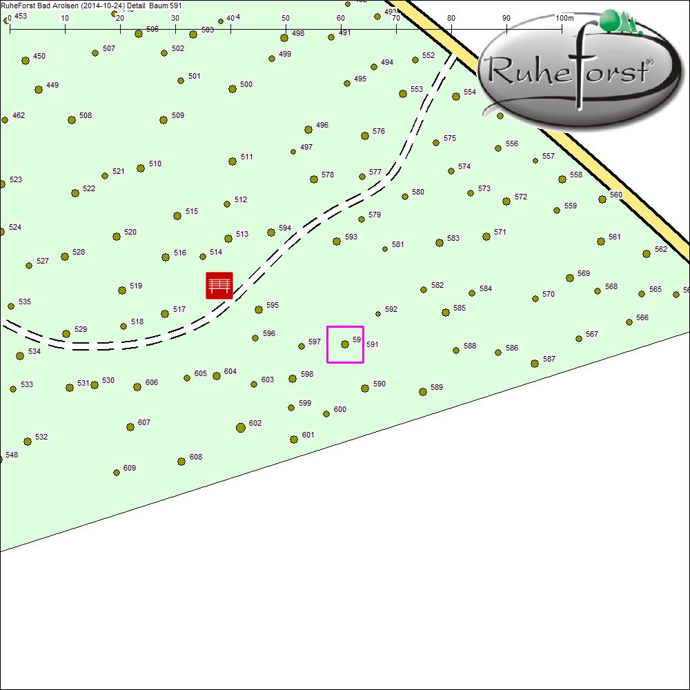 Detailkarte zu Baum 591