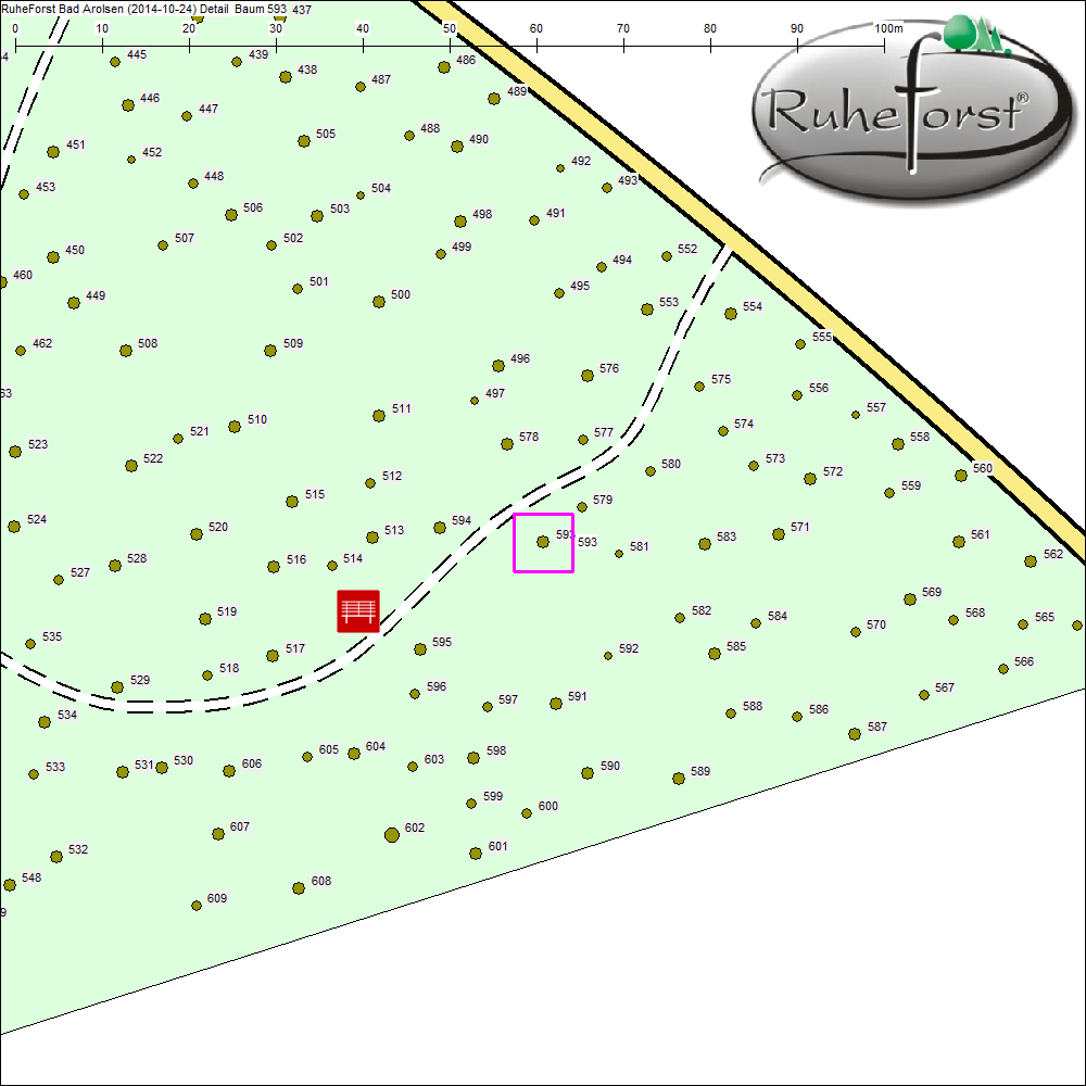 Detailkarte zu Baum 593