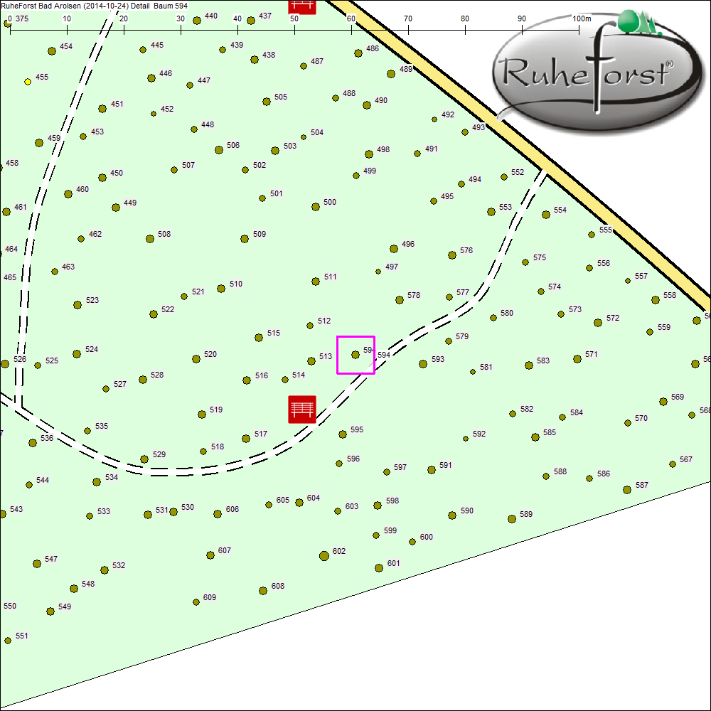 Detailkarte zu Baum 594