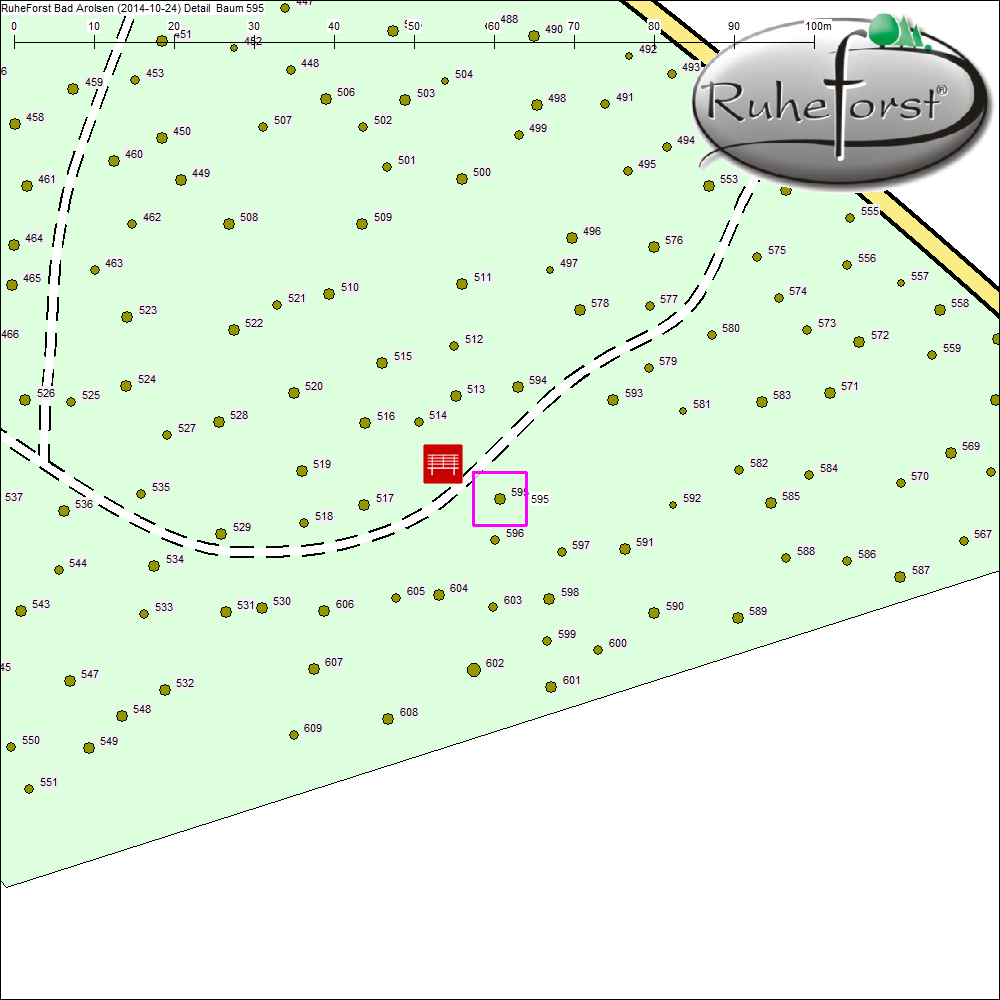Detailkarte zu Baum 595